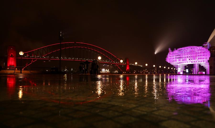 Xinhua Headlines: Chinese New Year celebrations touch hearts around world