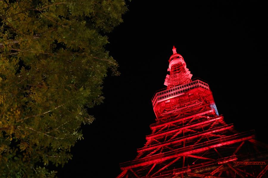 Xinhua Headlines: Chinese New Year celebrations touch hearts around world