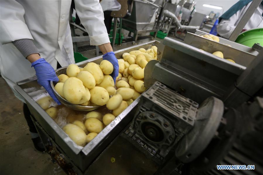 MIDEAST-GAZA-FRENCH-FRIES-FACTORY