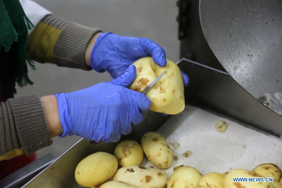 MIDEAST-GAZA-FRENCH-FRIES-FACTORY