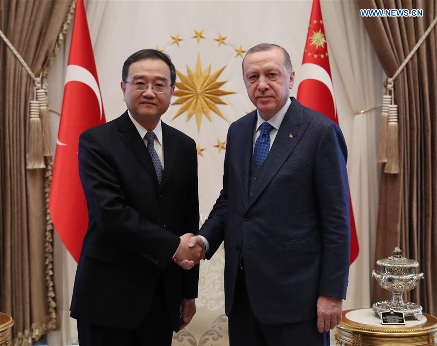 TURKEY-PRESIDENT-CHINA-AMBASSADOR