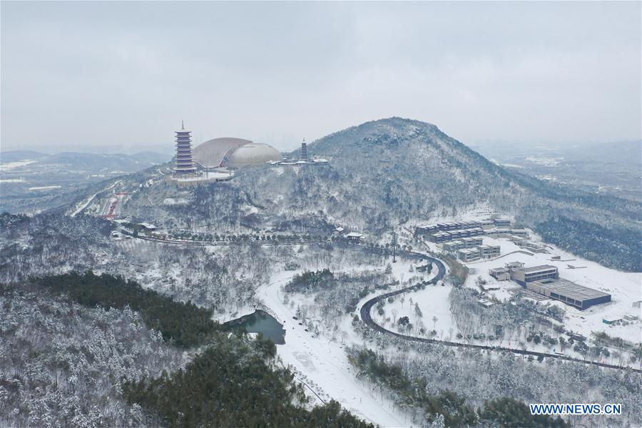 CHINA-JIANGSU-NANJING-SNOW SCENERY (CN)