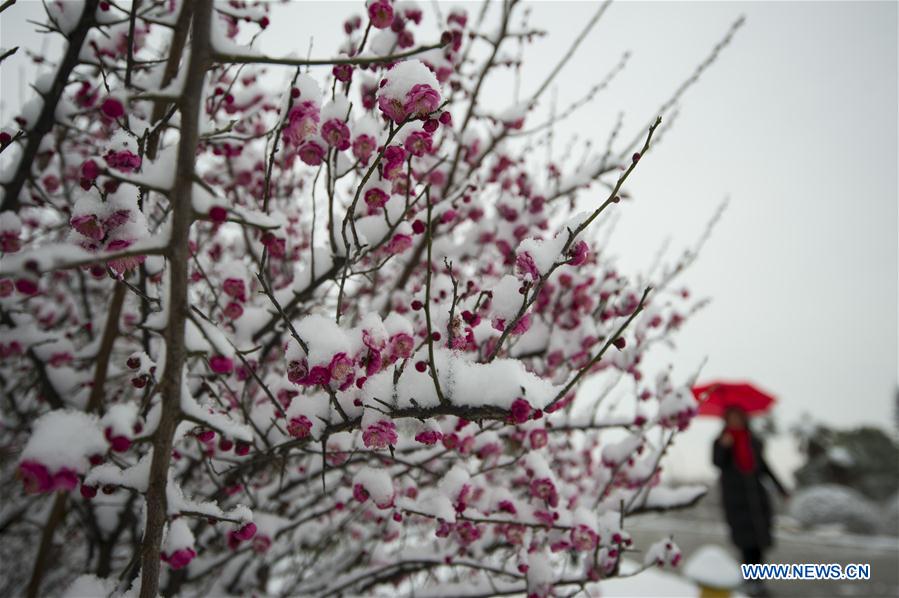 #CHINA-JIANGSU-SNOW SCENERY (CN)