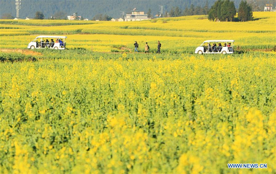 #CHINA-SPRING FESTIVAL-LANDSCAPE (CN)