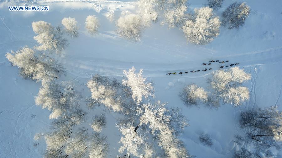 Xinhua Headlines: Ski lovers slide on fur snowboards in Xinjiang