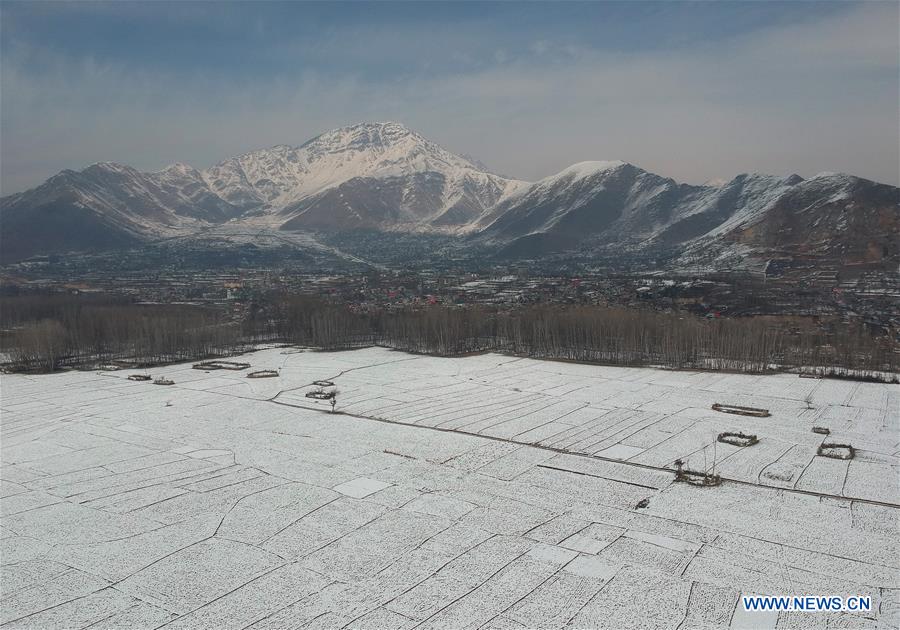 KASHMIR-SRINAGAR-SCENERY AFTER SNOWFALL