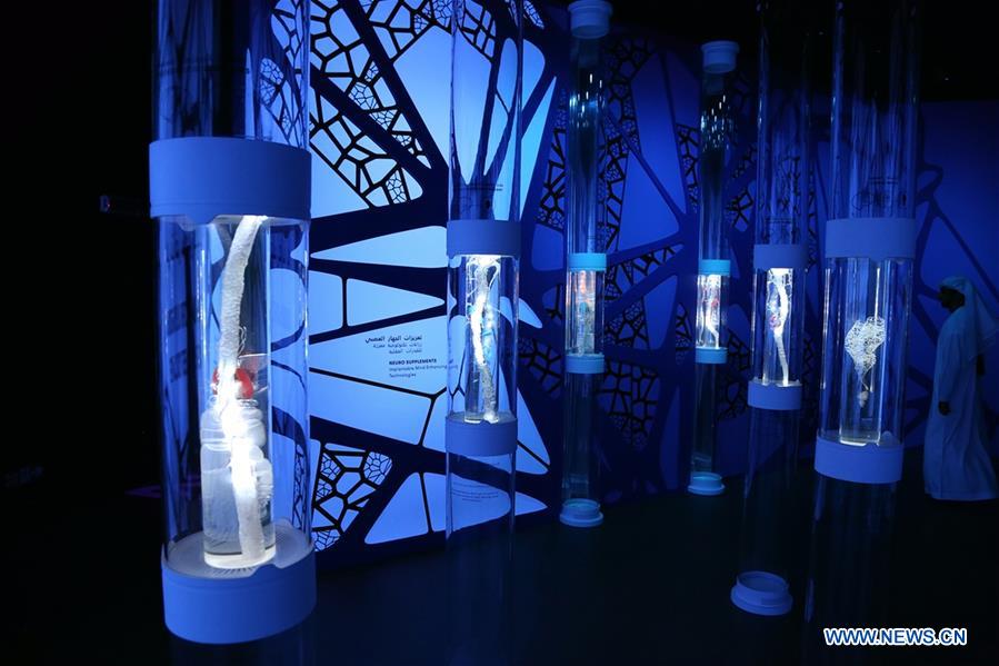 UAE-DUBAI-WORLD GOV'T SUMMIT-EXHIBITION