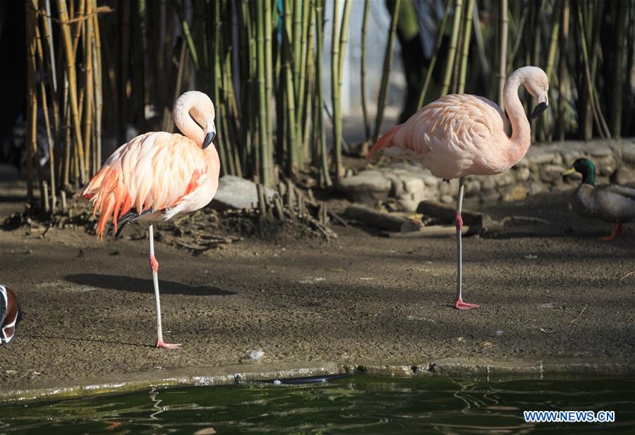 SWITZERLAND-GENEVA-WARMTH