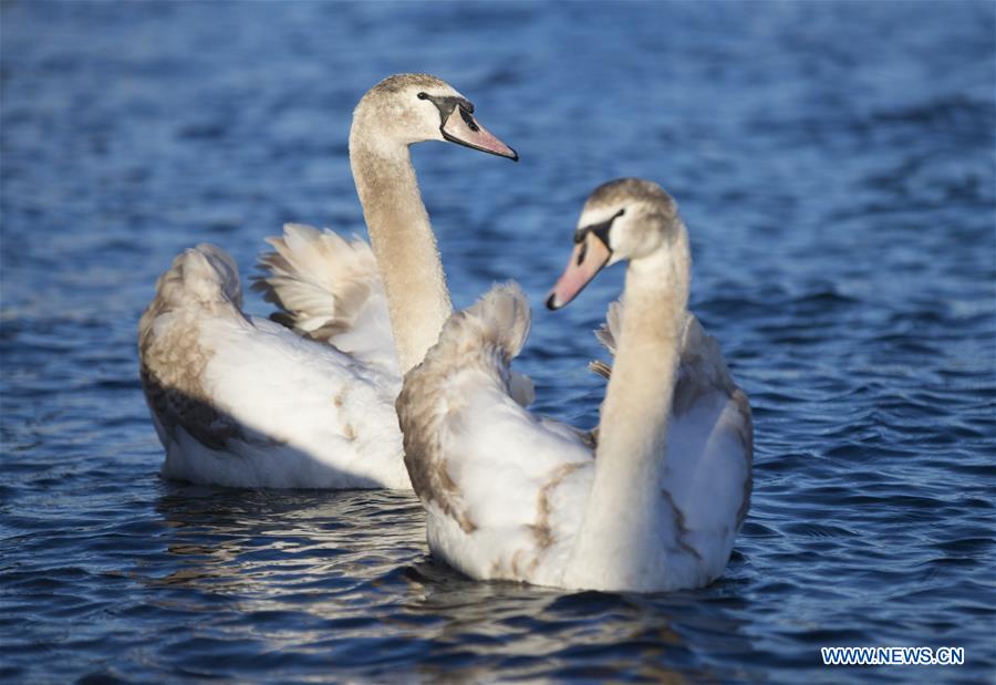 SWITZERLAND-GENEVA-WARMTH