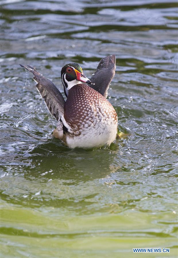 SWITZERLAND-GENEVA-WARMTH