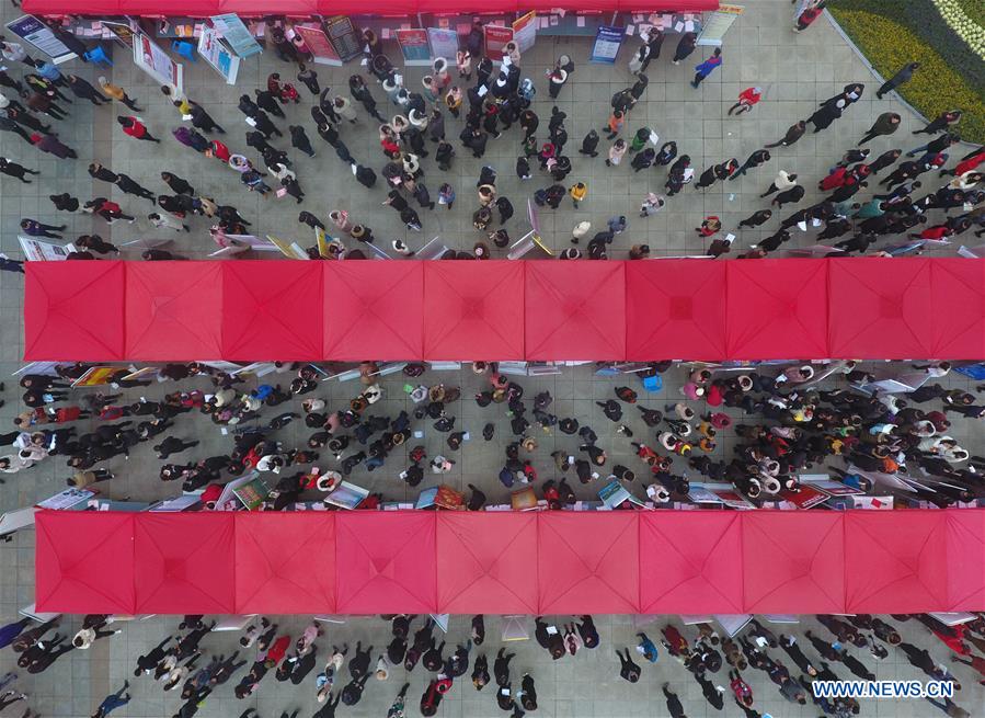 #CHINA-JOB FAIR (CN)