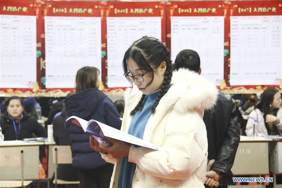 #CHINA-JOB FAIR (CN)