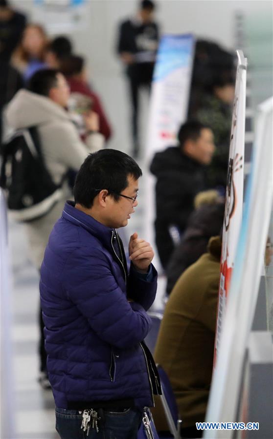 #CHINA-JOB FAIR (CN)