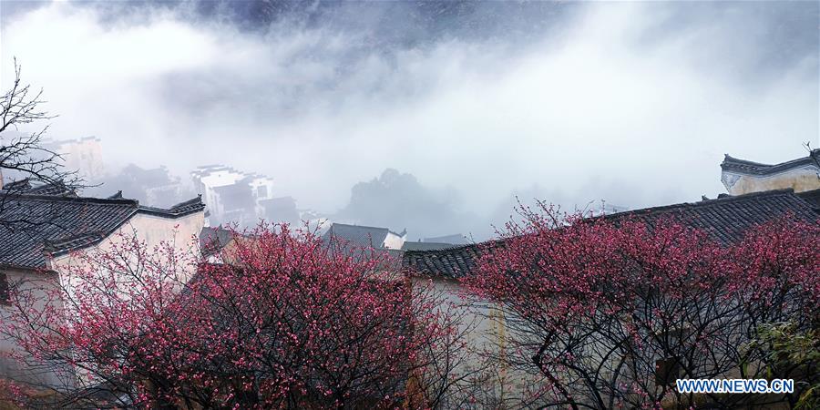 #CHINA-JIANGXI-WUYUAN-SCENERY (CN)
