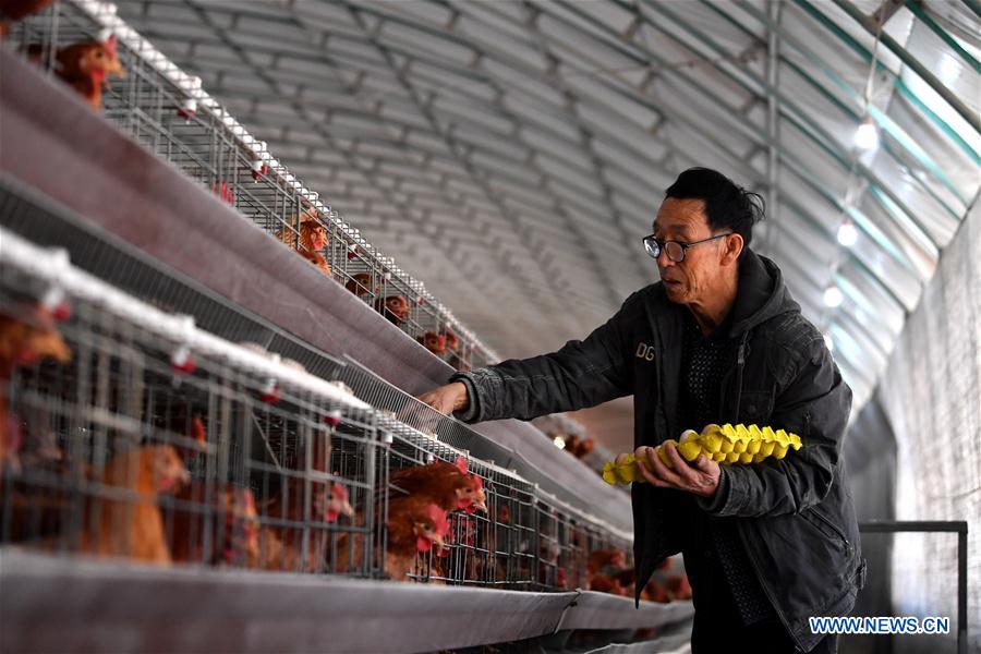 CHINA-SHANXI-VILLAGE-POVERTY ALLEVIATION(CN)