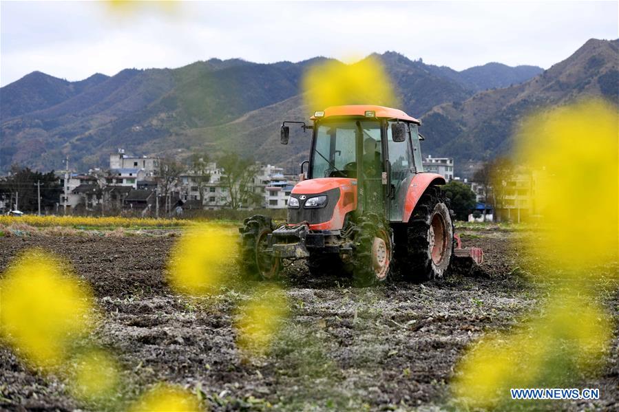 #CHINA-EARLY SPRING-AGRICULTURE(CN)