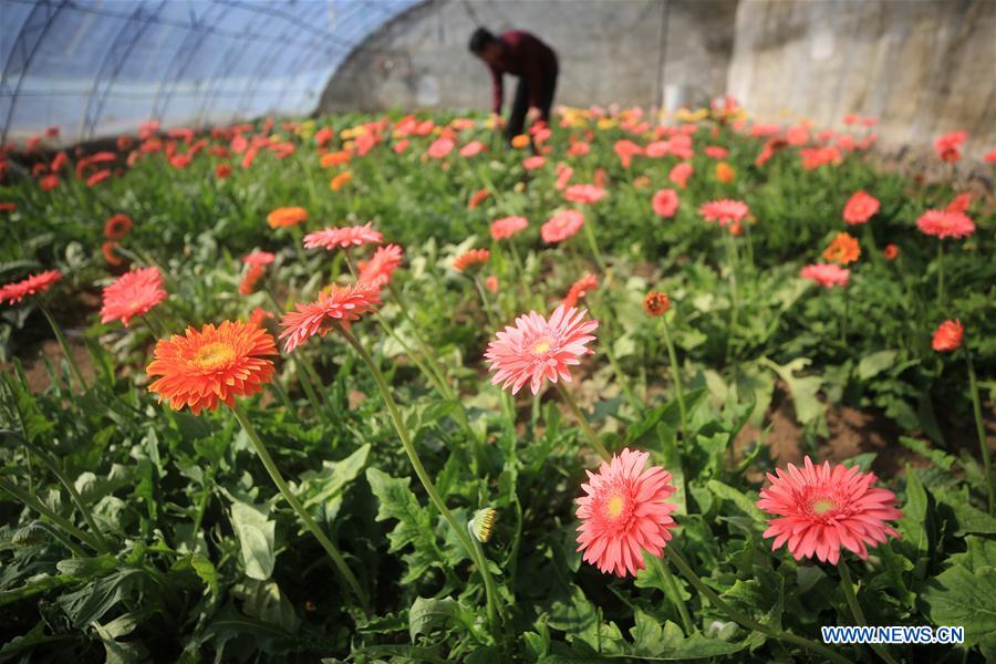 #CHINA-EARLY SPRING-AGRICULTURE (CN) 