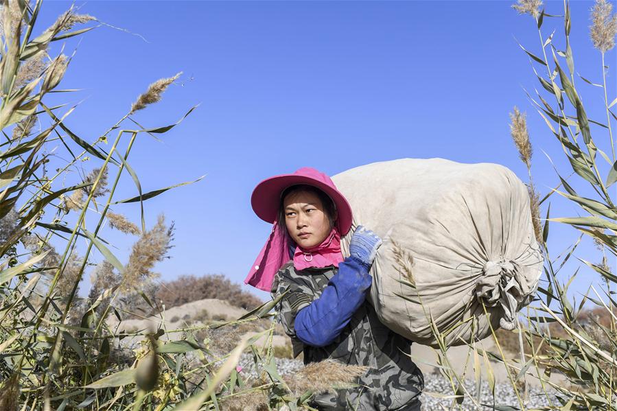 CHINA-EMPLOYMENT-WOMEN-GENDER-EQUALITY (CN)