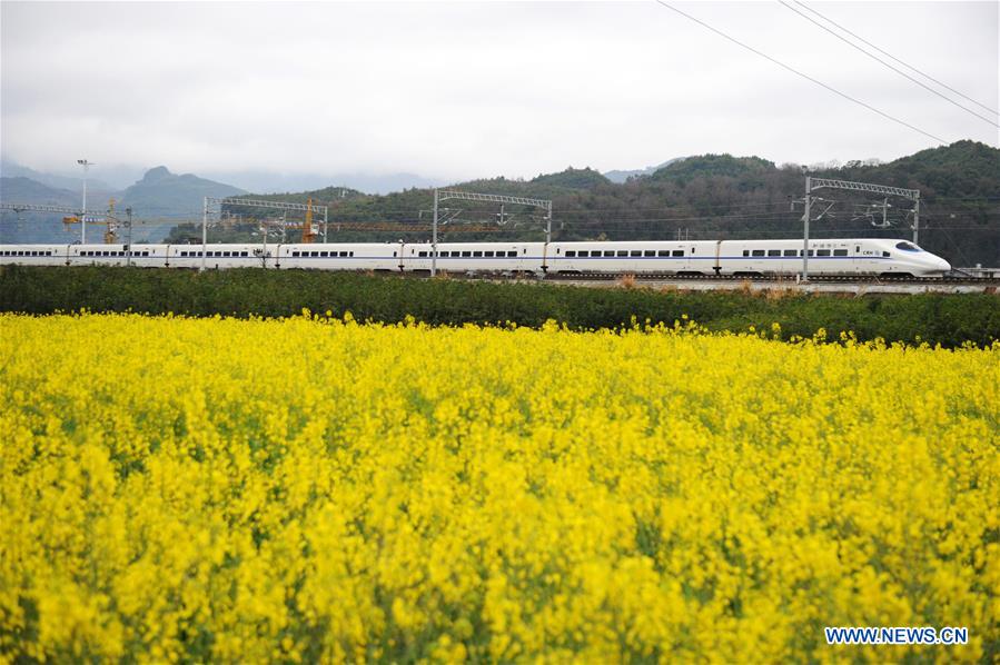 CHINA-GUIZHOU-HIGH SPEED TRAIN-COLE FLOWERS (CN)