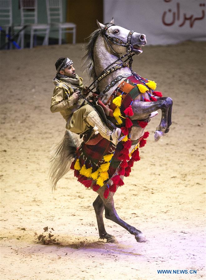 IRAN-TEHRAN-HORSE FESTIVAL