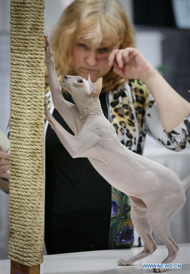 CANADA-VANCOUVER-CAT SHOW
