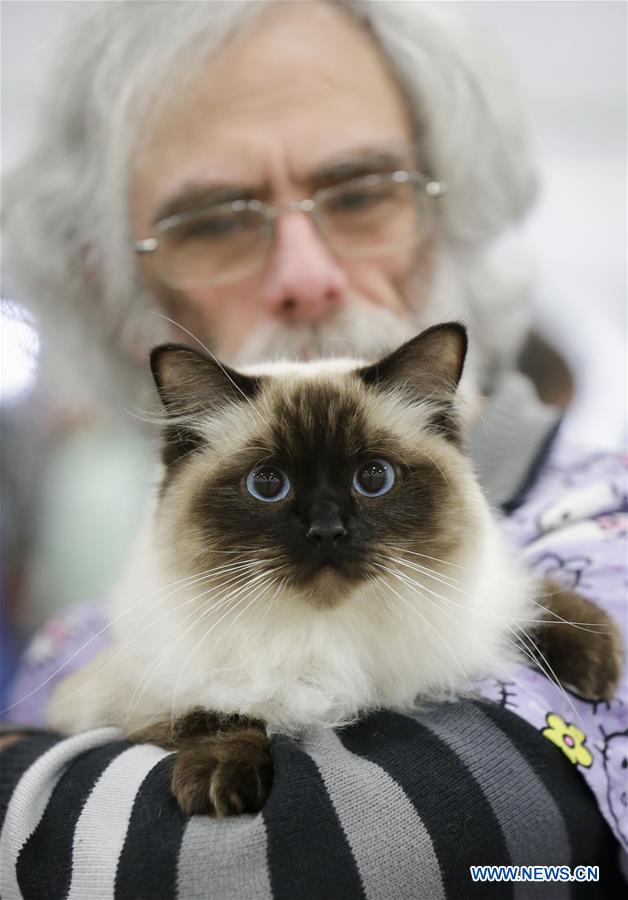CANADA-VANCOUVER-CAT SHOW