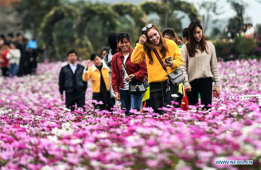 CHINA-GUANGXI-GESANG FLOWERS (CN)