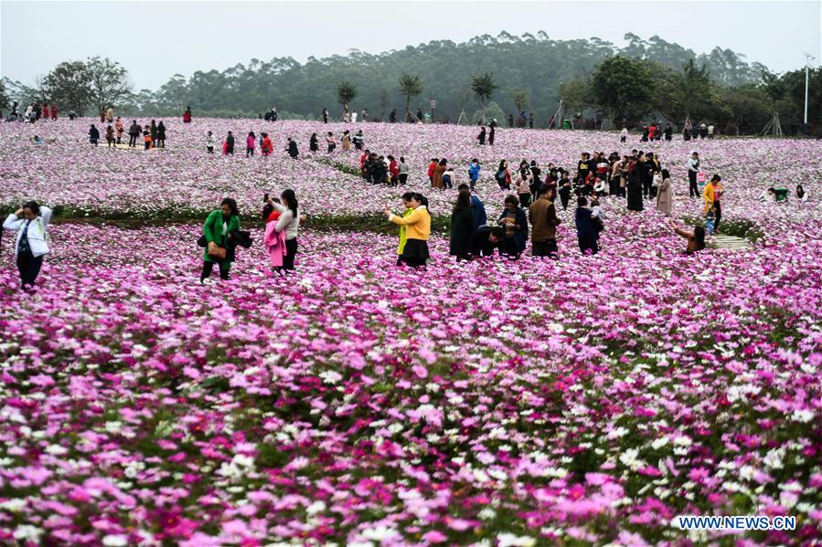 CHINA-GUANGXI-GESANG FLOWERS (CN)