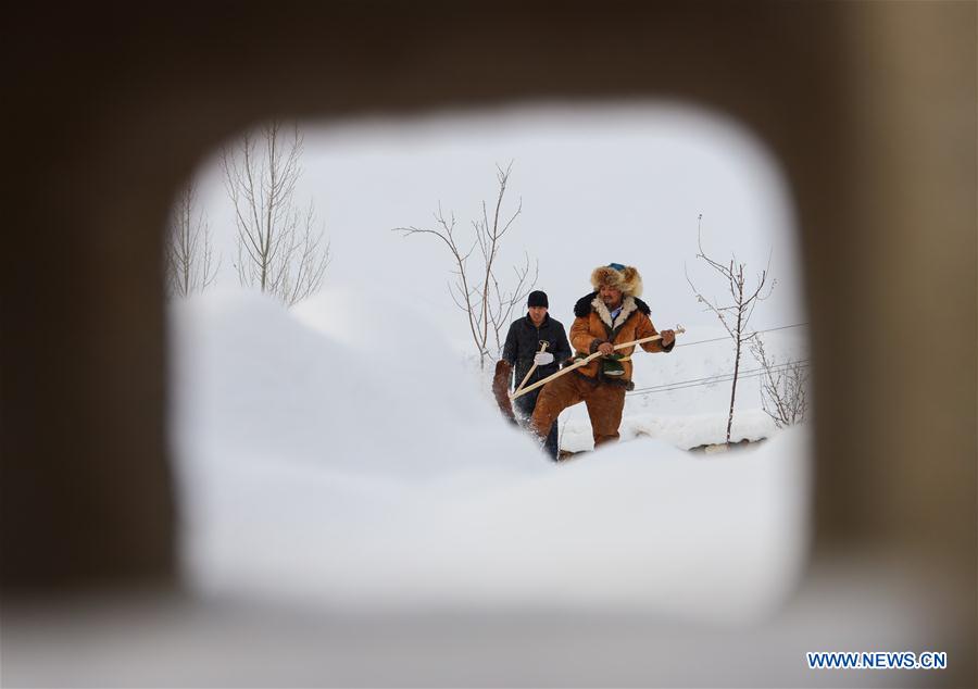 (SP)CHINA-XINJIANG-ALTAY-FUR SNOWBOARDS(CN)