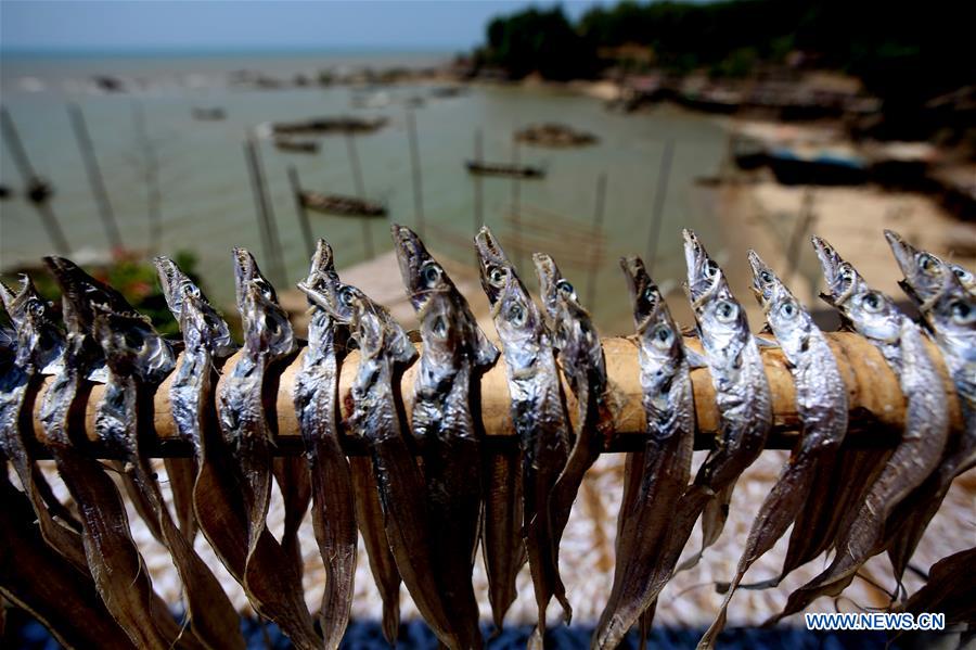 MYANMAR-THANBYUZAYAT-DRYING FISH