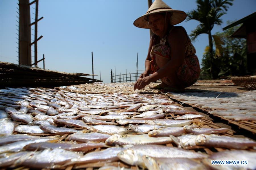 MYANMAR-THANBYUZAYAT-DRYING FISH