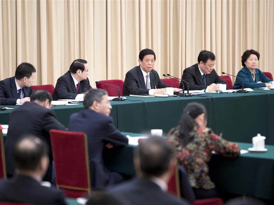 (TWO SESSIONS)CHINA-BEIJING-LI ZHANSHU-NPC-PANEL DISCUSSION (CN) 