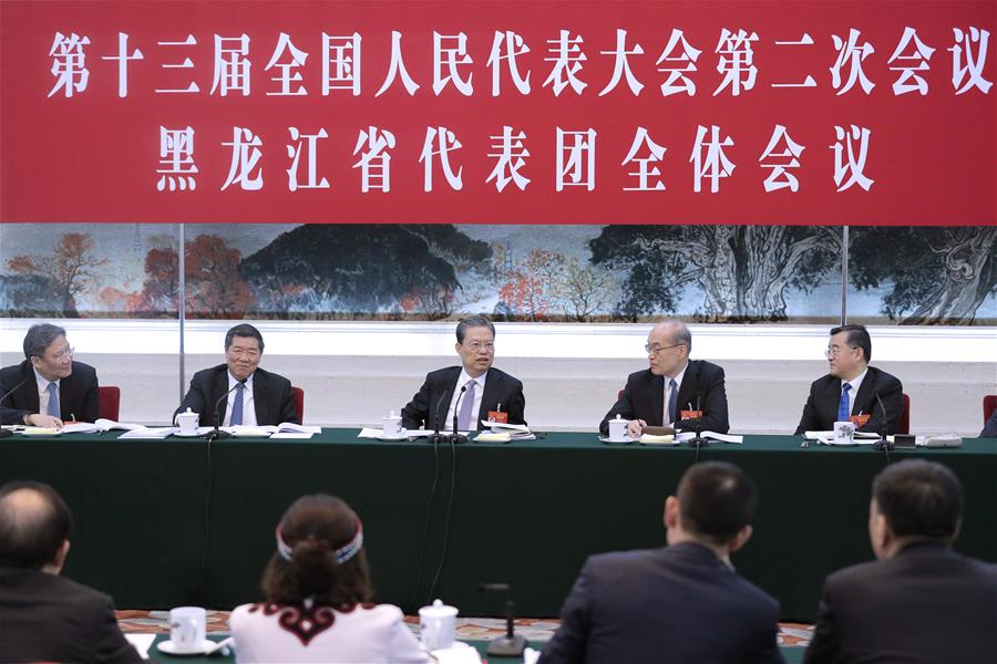 (TWO SESSIONS)CHINA-BEIJING-ZHAO LEJI-NPC-PANEL DISCUSSION (CN) 