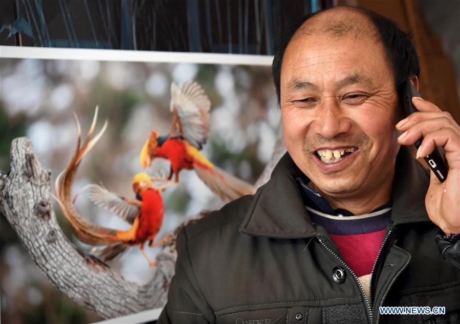 CHINA-HENAN-WILD BIRDS-PROTECTION (CN)