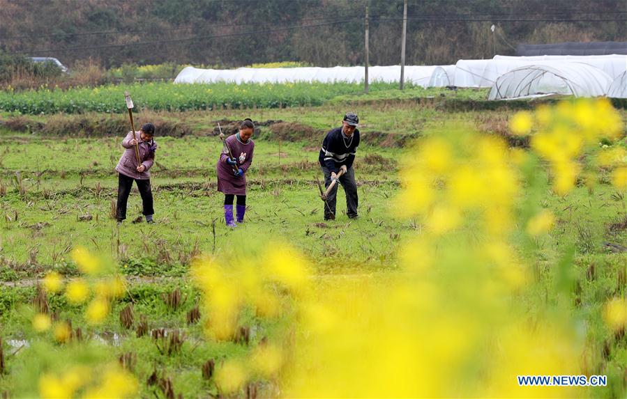 #CHINA-JINGZHE-FARM WORK (CN)