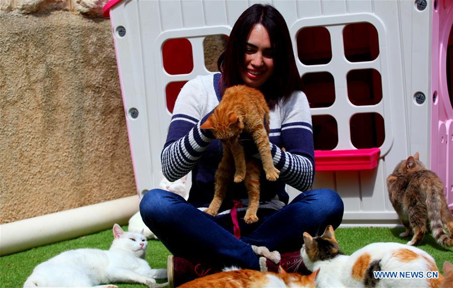 MIDEAST-HEBRON-CATS-SHELTER