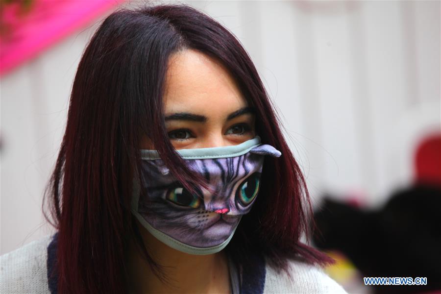 MIDEAST-HEBRON-CATS-SHELTER