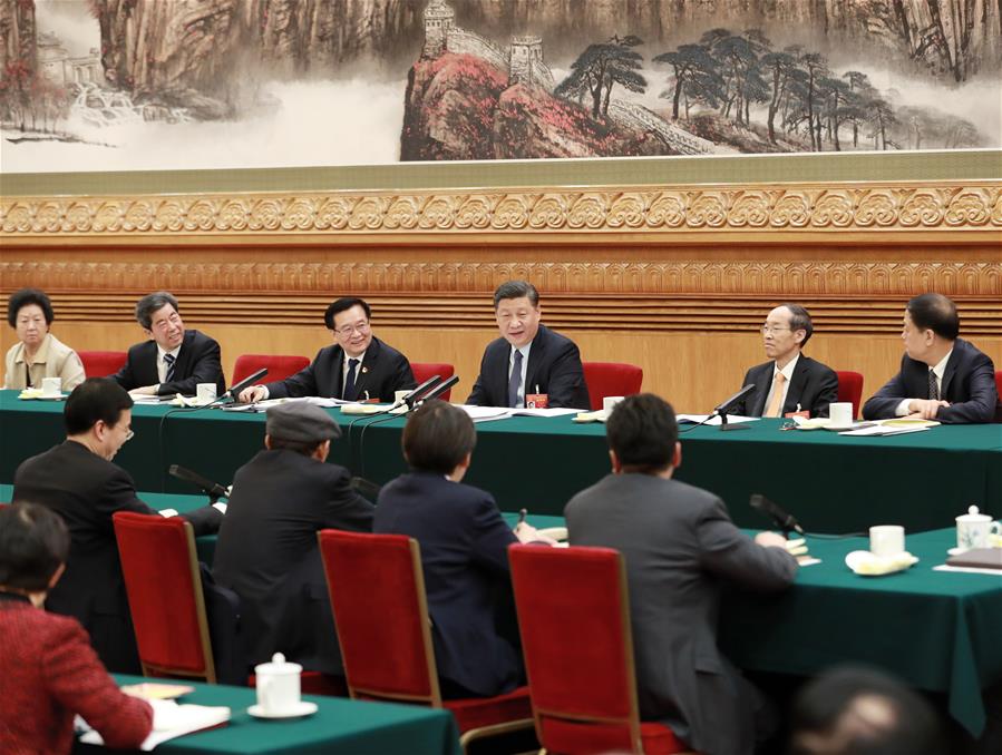 Image result for Xi stresses implementation of rural revitalization strategy