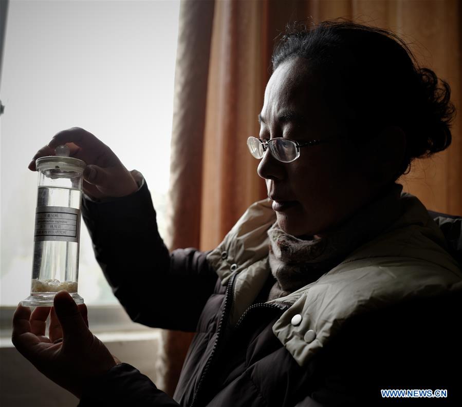 (InTibet) CHINA-TIBET-POVERTY ALLEVIATION-WOMEN SCIENTIST-YAK-RESEARCH (CN)