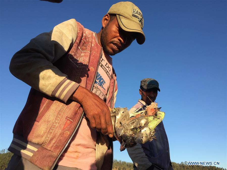 ETHIOPIA-BISHOFTU-ETHIOPIAN AIRLINES-JET CRASH