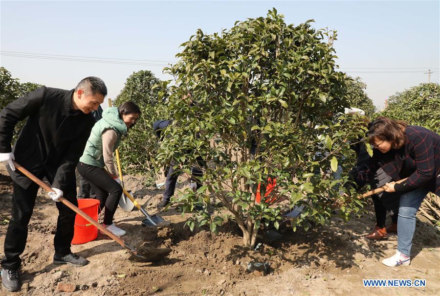 People plant trees on Tree Planting Day across China Xinhua English.news.cn
