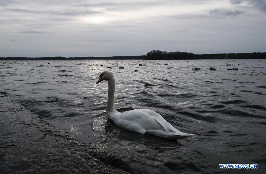 GERMANY-BERLIN-EARLY SPRING-DAILY LIFE