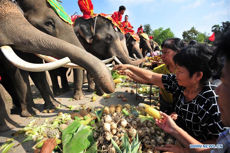 THAILAND-AYUTTHAYA-ELEPHANT DAY-CELEBRATION