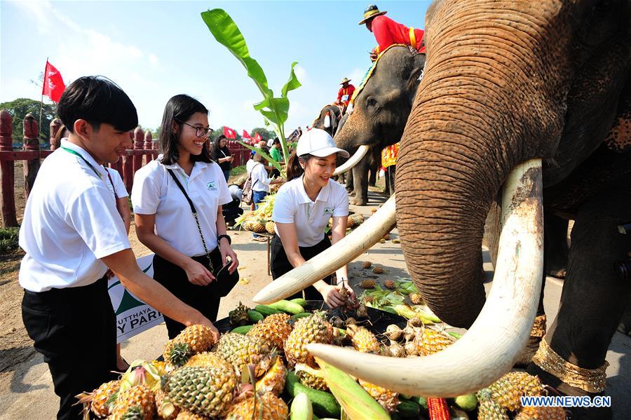 THAILAND-AYUTTHAYA-ELEPHANT DAY-CELEBRATION