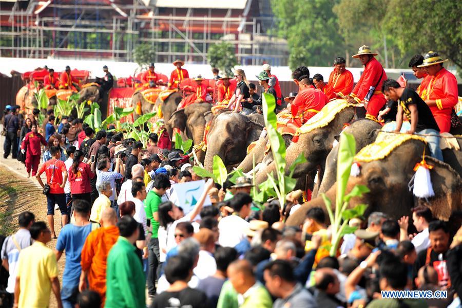 THAILAND-AYUTTHAYA-ELEPHANT DAY-CELEBRATION