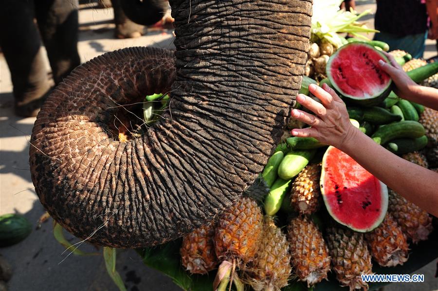 THAILAND-AYUTTHAYA-ELEPHANT DAY-CELEBRATION