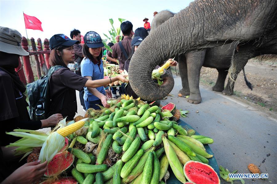 THAILAND-AYUTTHAYA-ELEPHANT DAY-CELEBRATION
