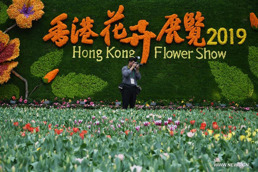 CHINA-HONG KONG-FLOWER SHOW (CN)