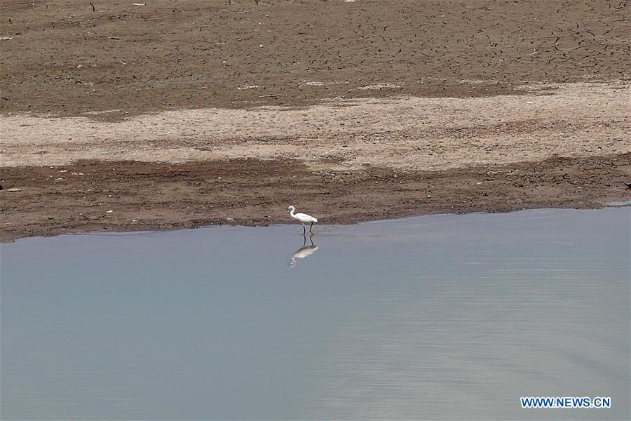 PHILIPPINES-QUEZON CITY-LA MESA DAM-DECLINING WATER LEVEL