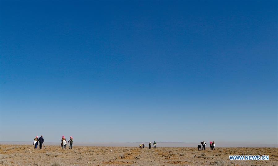 CHINA-INNER MONGOLIA-DESERT-GREENING (CN)